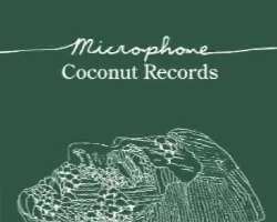 He dropped his first single in 2002 titled Microphone with Evan Dando and Ben Lee.